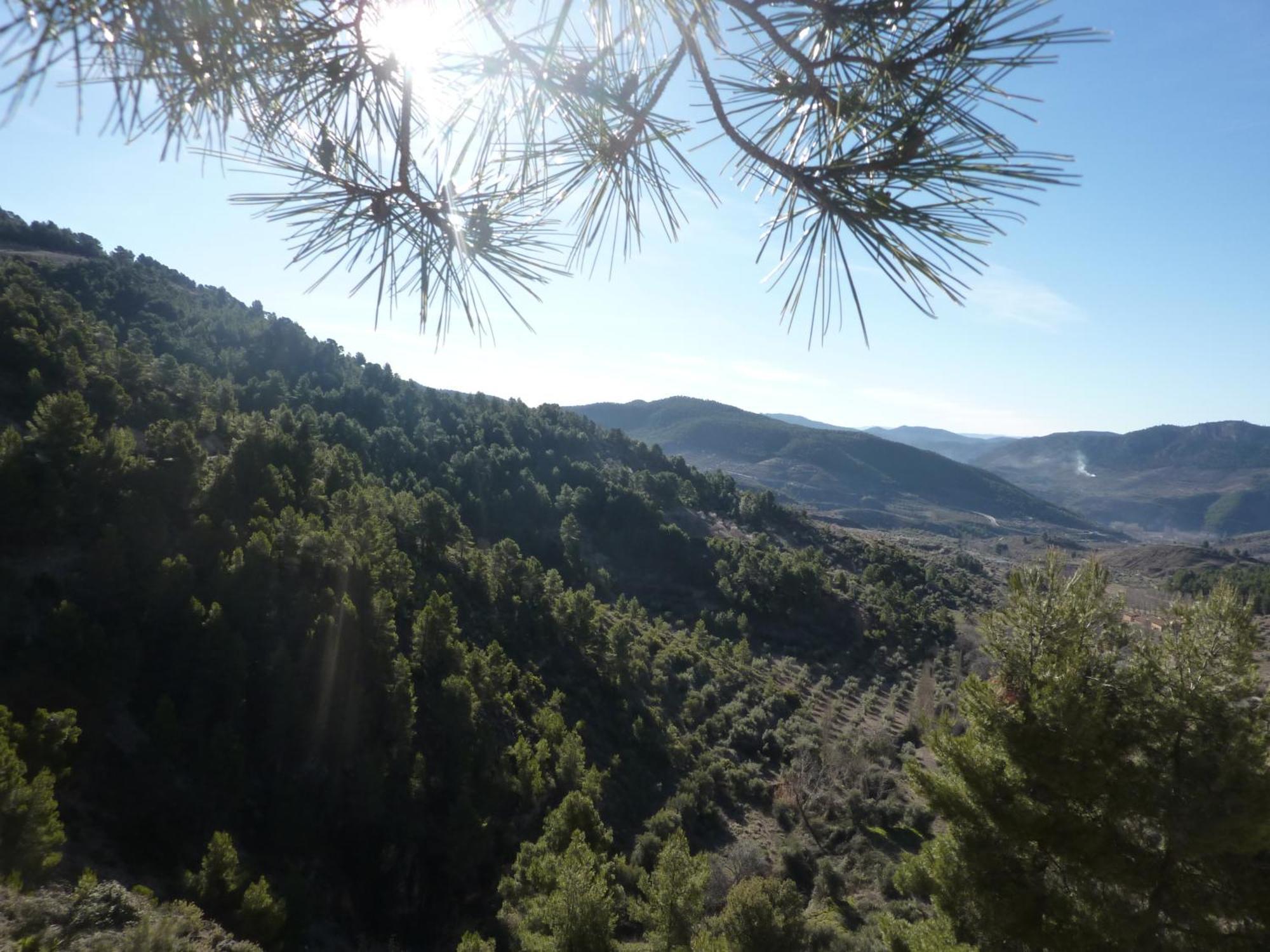 Hotel Vegasierra Bogarra Εξωτερικό φωτογραφία